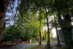 Nature (2)